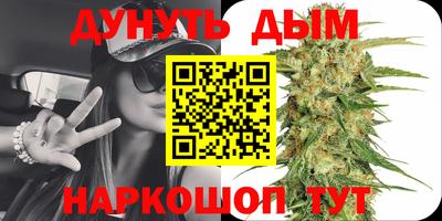 бошки Новодвинск