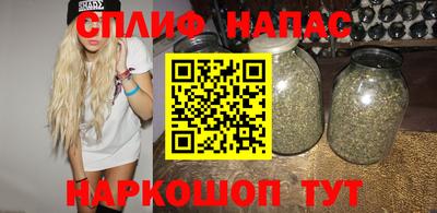 бошки Новодвинск