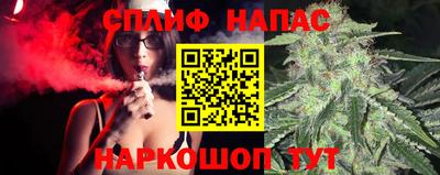 бошки Новодвинск