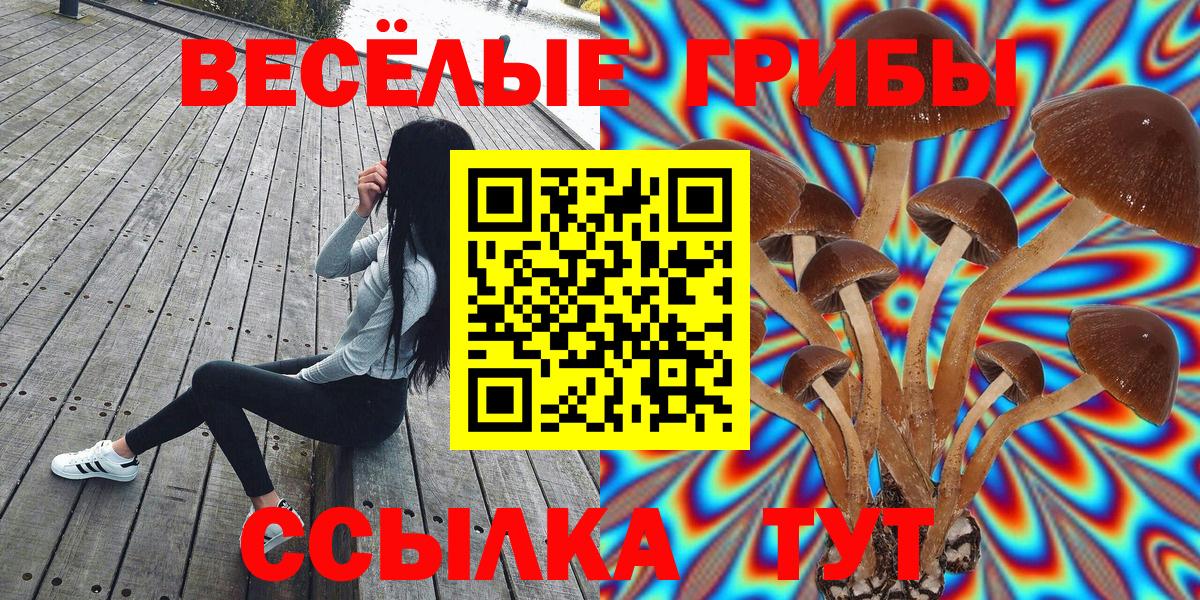 Галлюциногенные грибы мицелий  Псилоцибиновые грибы мицелий  Вход с VPN  Унеча 