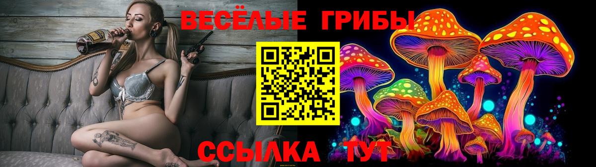 Галлюциногенные грибы Psilocybe Унеча